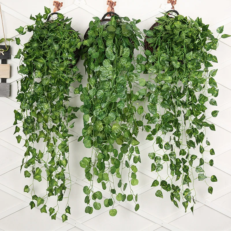 String Of Pearls Plant - 인공 녹색 무 벽걸이 식물 등나무,