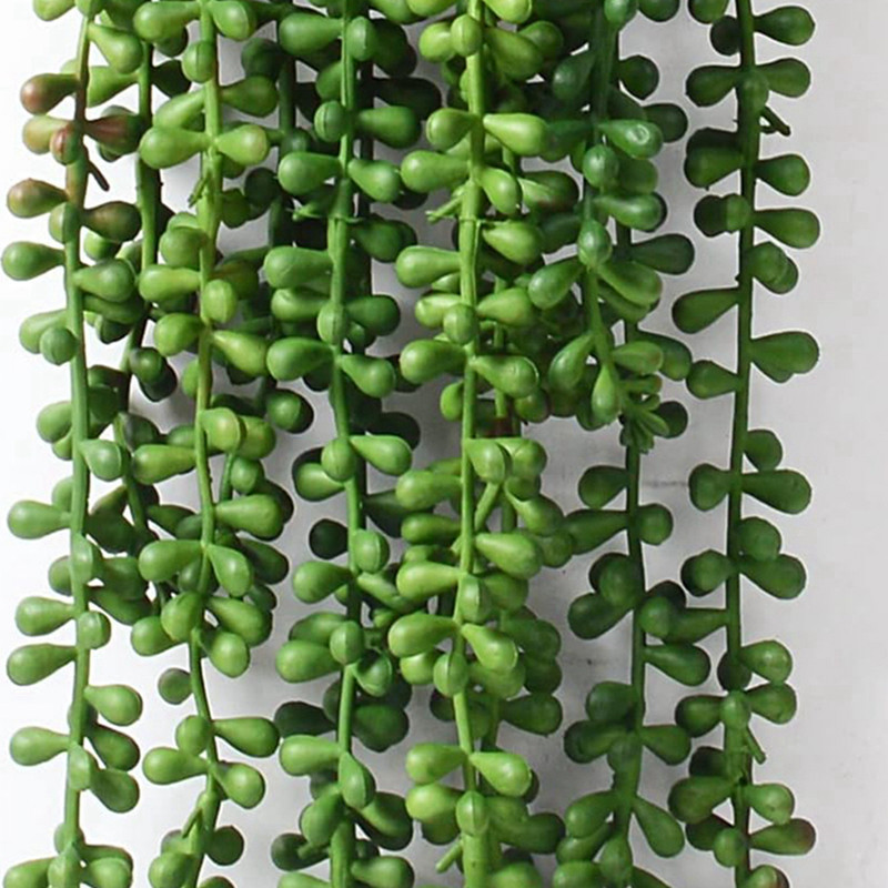 인조 플라스틱 식물 덩굴 나무 이끼 축제 장식품 가정  - String Of Pearls Plant 리뷰 및 가격
