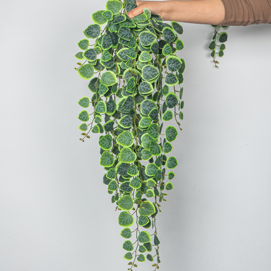 60-80cm 인공 매달려 덩굴 열 대 유칼립투스 식물 - String Of Pearls Plant 리뷰 및 가격