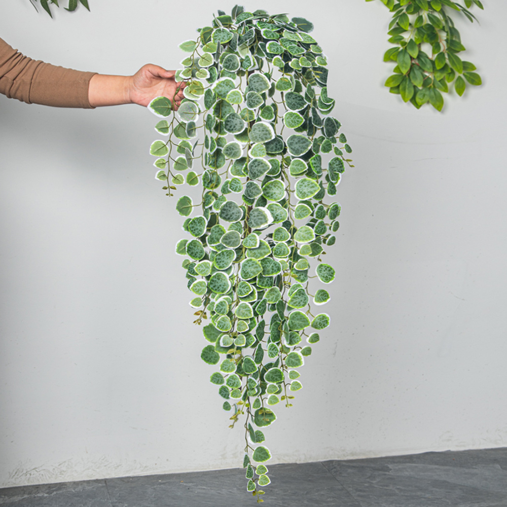 60-80cm 인공 매달려 덩굴 열 대 유칼립투스 식물 - String Of Pearls Plant 리뷰 및 가격