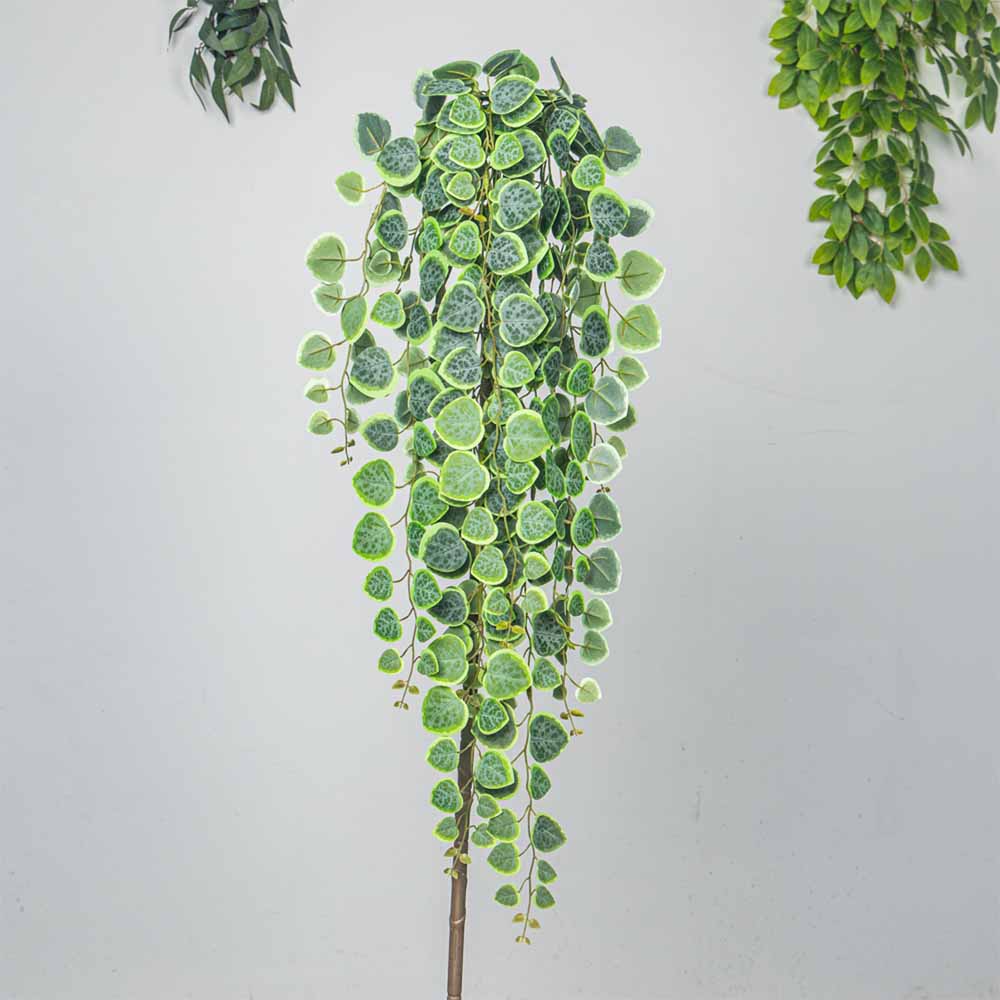 60-80cm 인공 매달려 덩굴 열 대 유칼립투스 식물 - String Of Pearls Plant 리뷰 및 가격