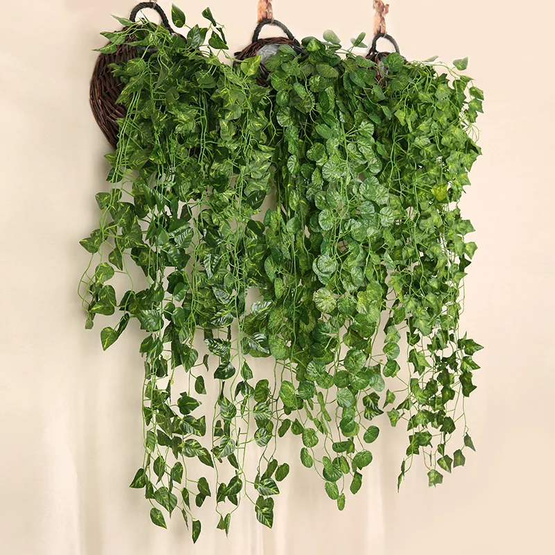 인공 녹색 무 벽걸이 식물 등나무, 집 거실 장식 배경 - String Of Pearls Plant 리뷰 및 가격