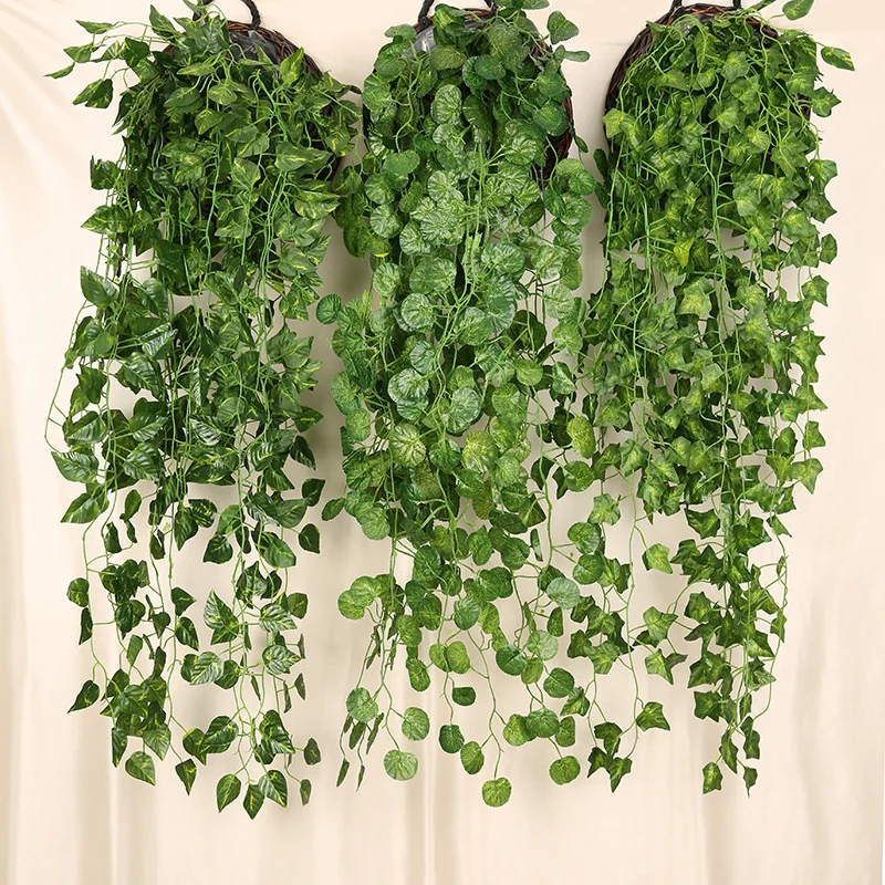 인공 녹색 무 벽걸이 식물 등나무, 집 거실 장식 배경 - String Of Pearls Plant 리뷰 및 가격