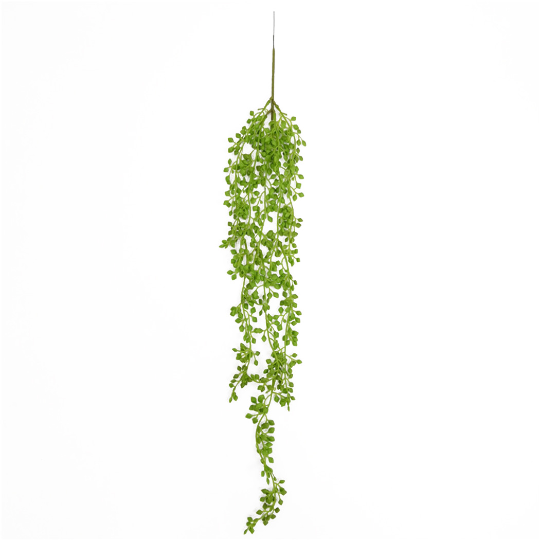 인공 식물 덩굴 벽 매달려 등나무 잎 지점 야외 정원  - String Of Pearls Plant 리뷰 및 가격
