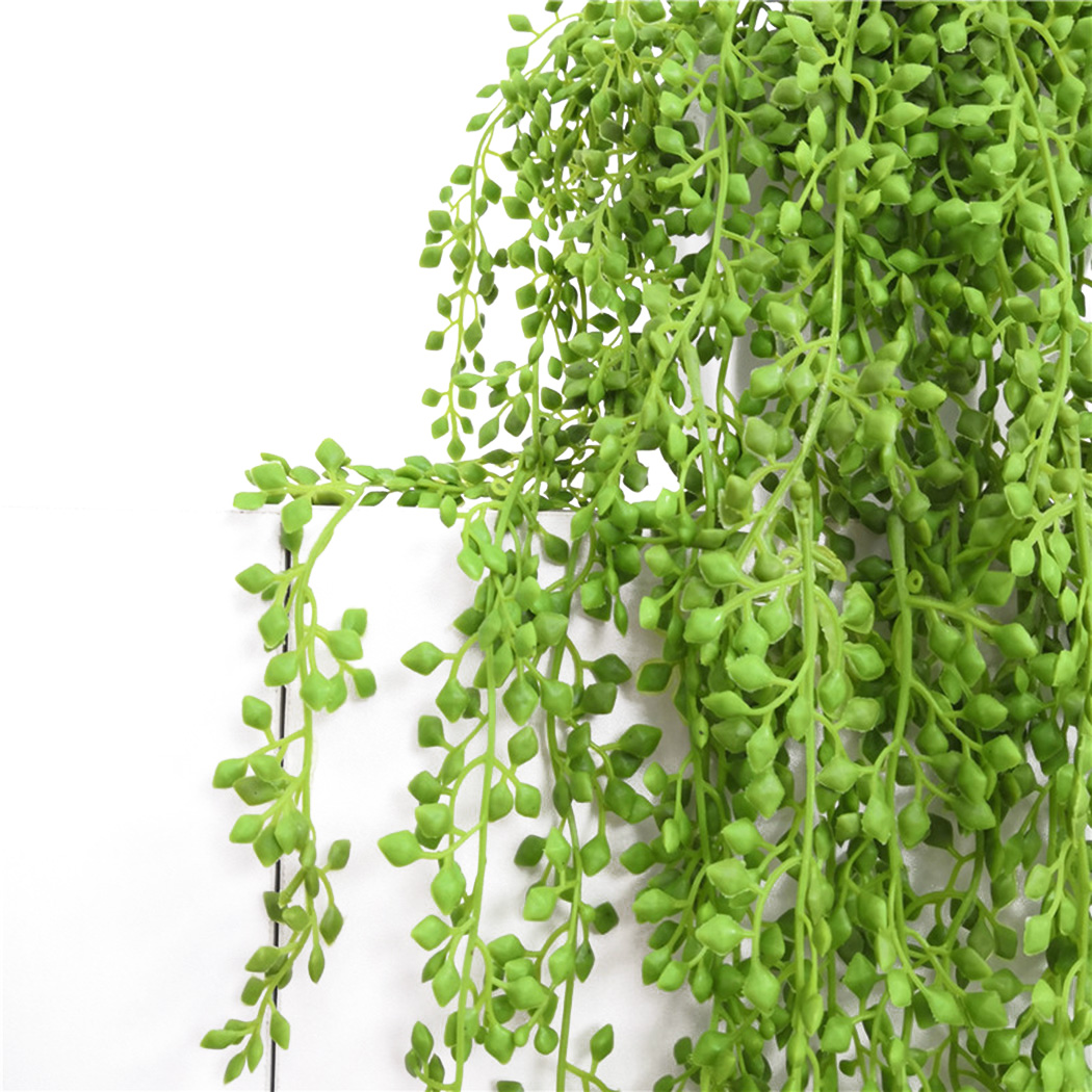 인공 식물 덩굴 벽 매달려 등나무 잎 지점 야외 정원  - String Of Pearls Plant 리뷰 및 가격